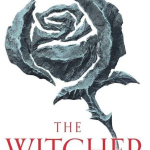 Blood of Elves (The Witcher, #1) by Andrzej Sapkowski