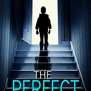 The Perfect Son by Freida McFadden