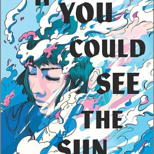 If You Could See the Sun by Ann Liang